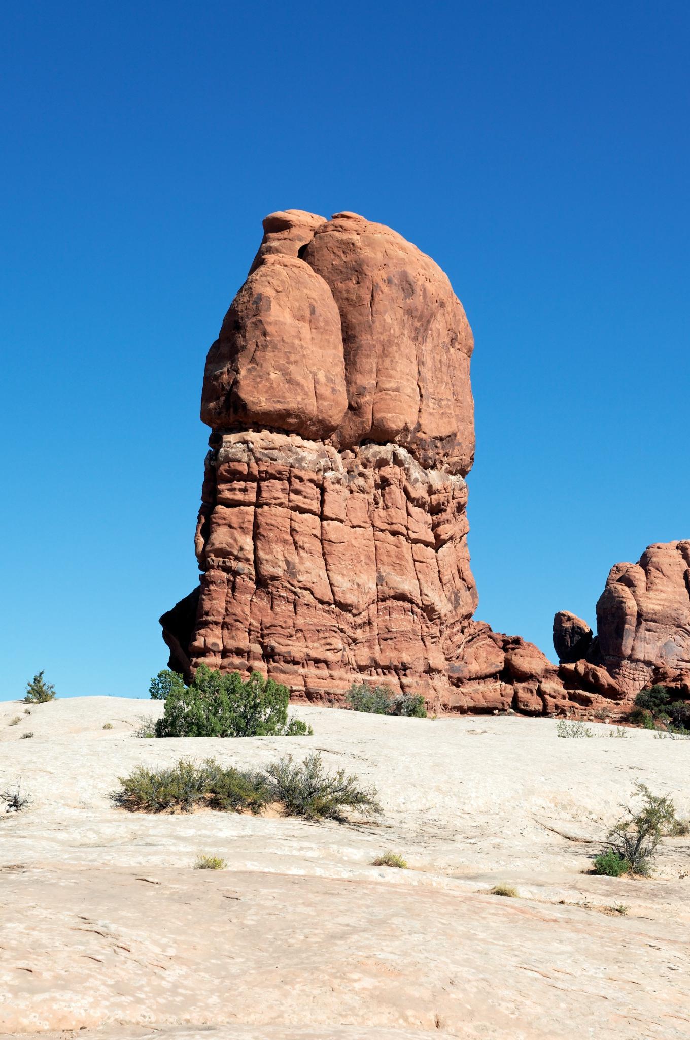 resized_set3_image_2