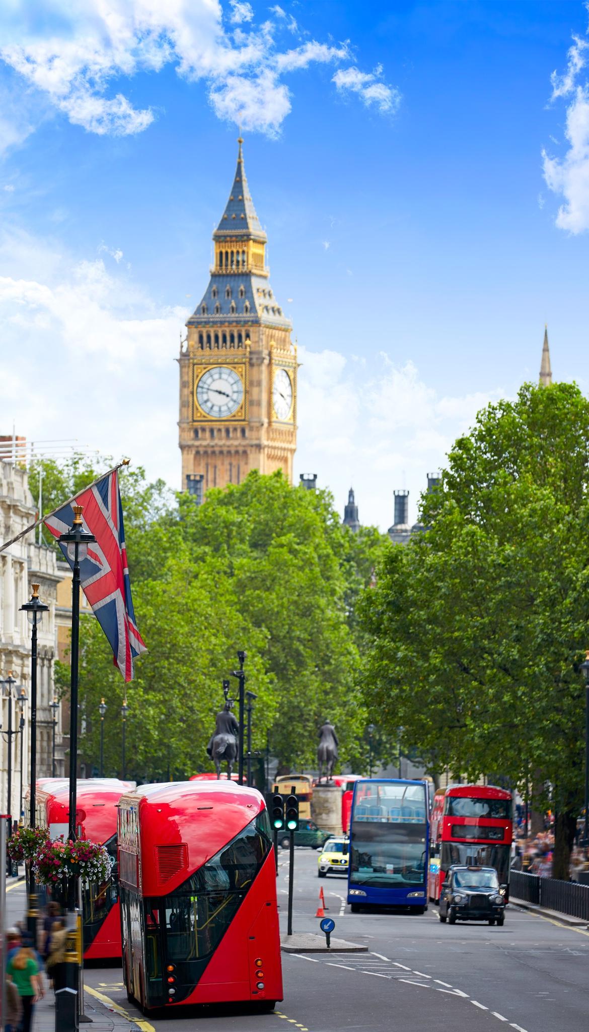 resized_set6_image_3