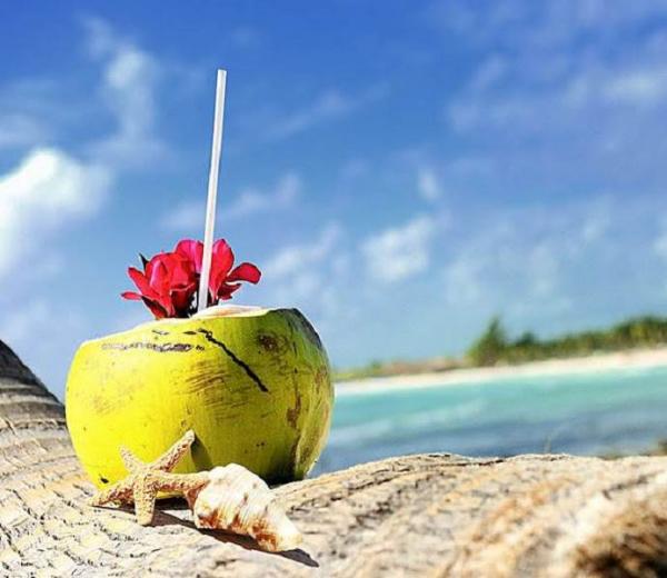 stock-photo-coconut-with-drinking-straw-on-a-palm-tree-at-the-sea-107725229_kopie_0